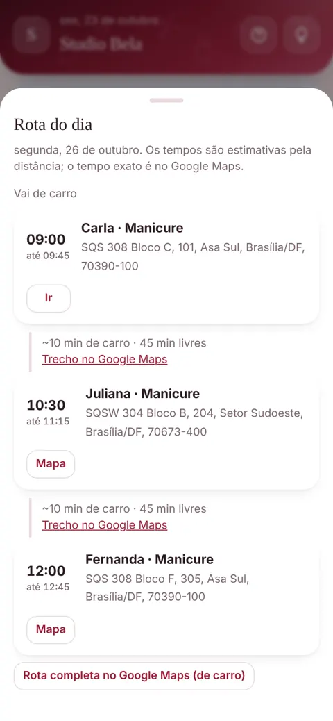 Rota do dia, com o caminho no Google Maps